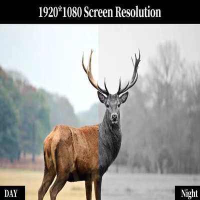 55 mm de soulagement oculaire KDS1W 3.7X-11X Scope numérique de vision nocturne pour la chasse IP65